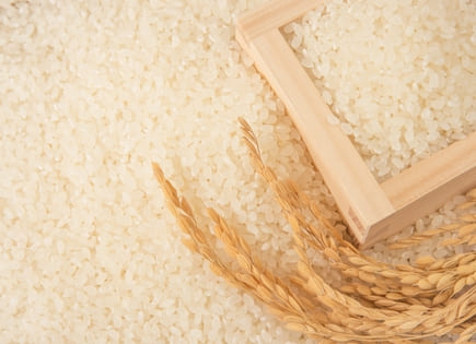 漢方の酵素米